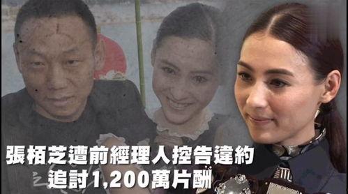 娱乐吃瓜风格是什么,揭秘明星们的“吃瓜”大作战！